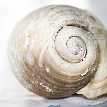 Vesna Vabriga דירה Tar-Vabriga